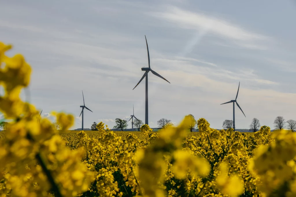 Éoliennes dans un champ de colza en fleurs sous un ciel partiellement nuageux.